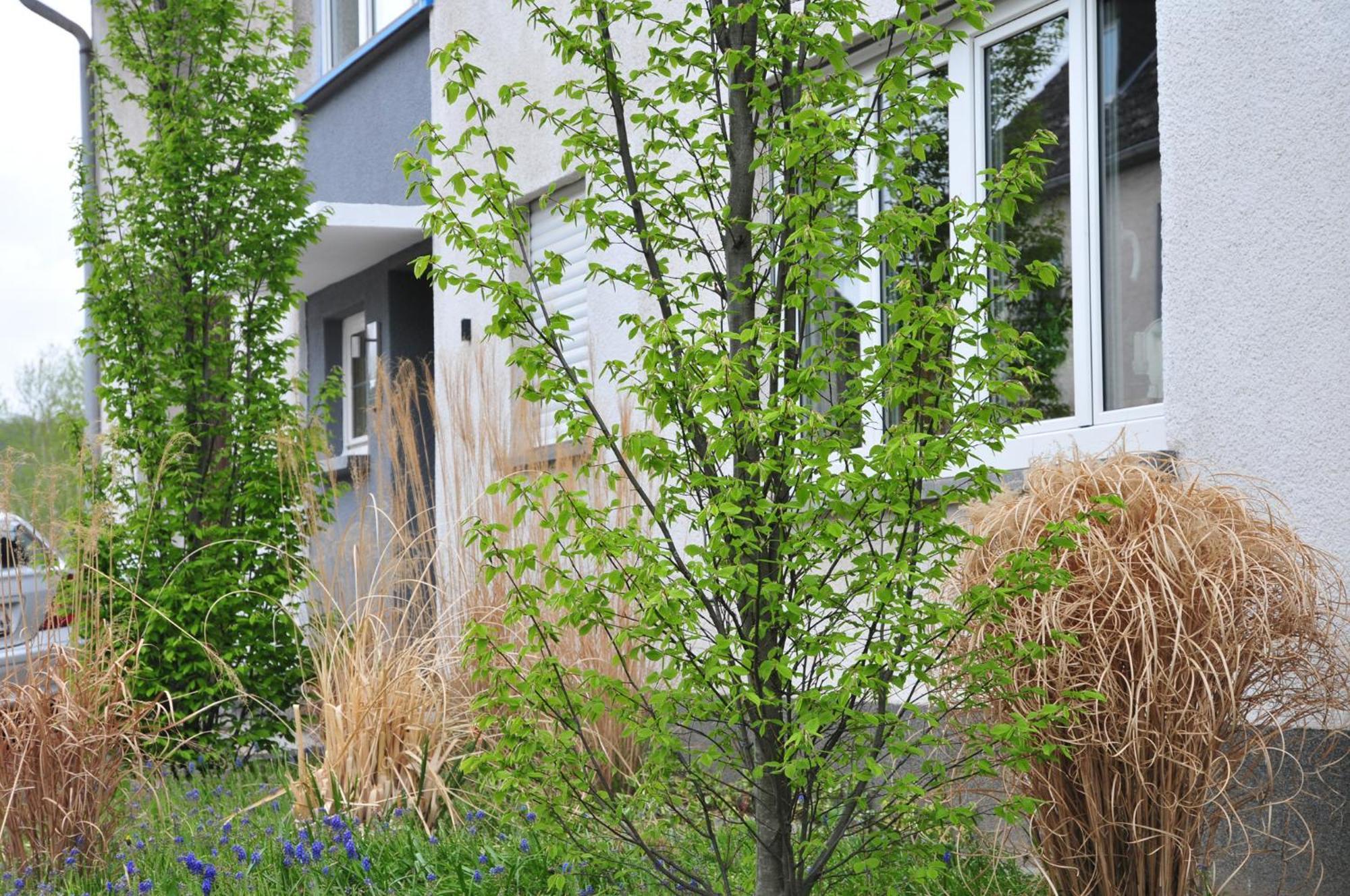 Ferienwohnung Noviomagus Neumagen-Dhron Exterior photo